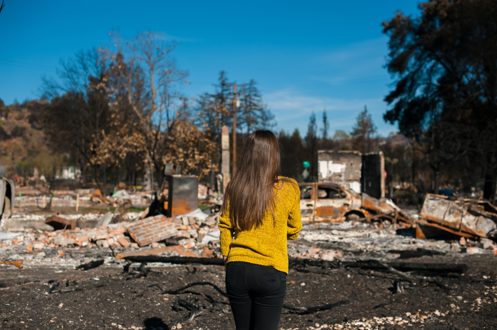 Wildfire