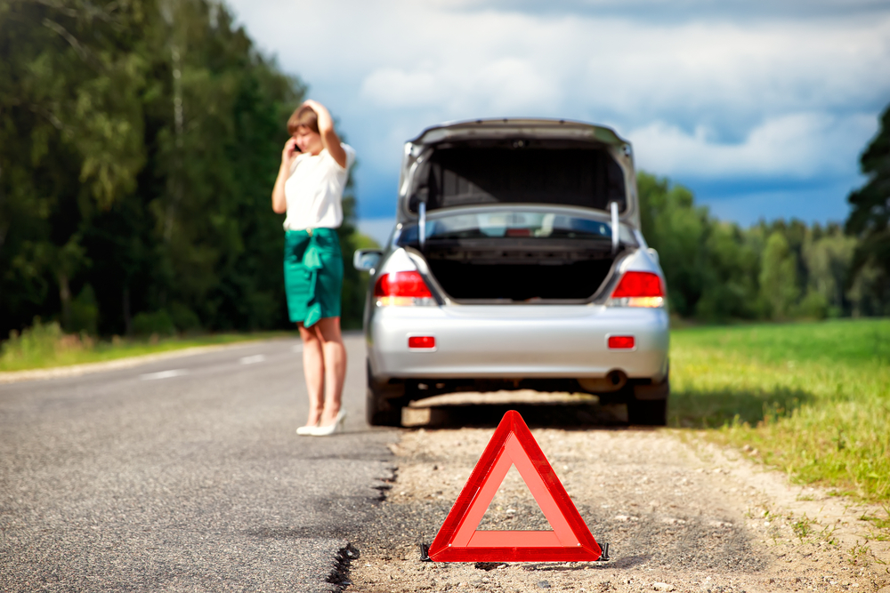 Vehicle Defects