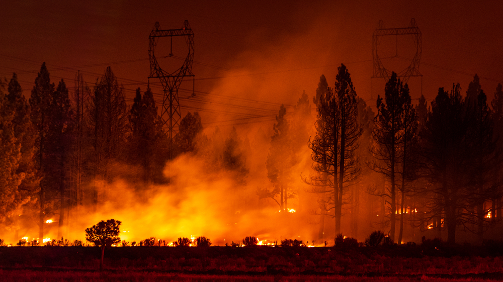 Steps to Hold Utilities Accountable for Fires